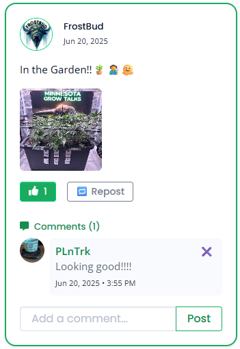 Example of a cannabis grower social post in PLNTRK feed