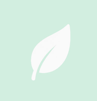 Reflecting on the Journey: PLnTrk’s Evolution from Grow Journal to Full Cannabis Platform cover image