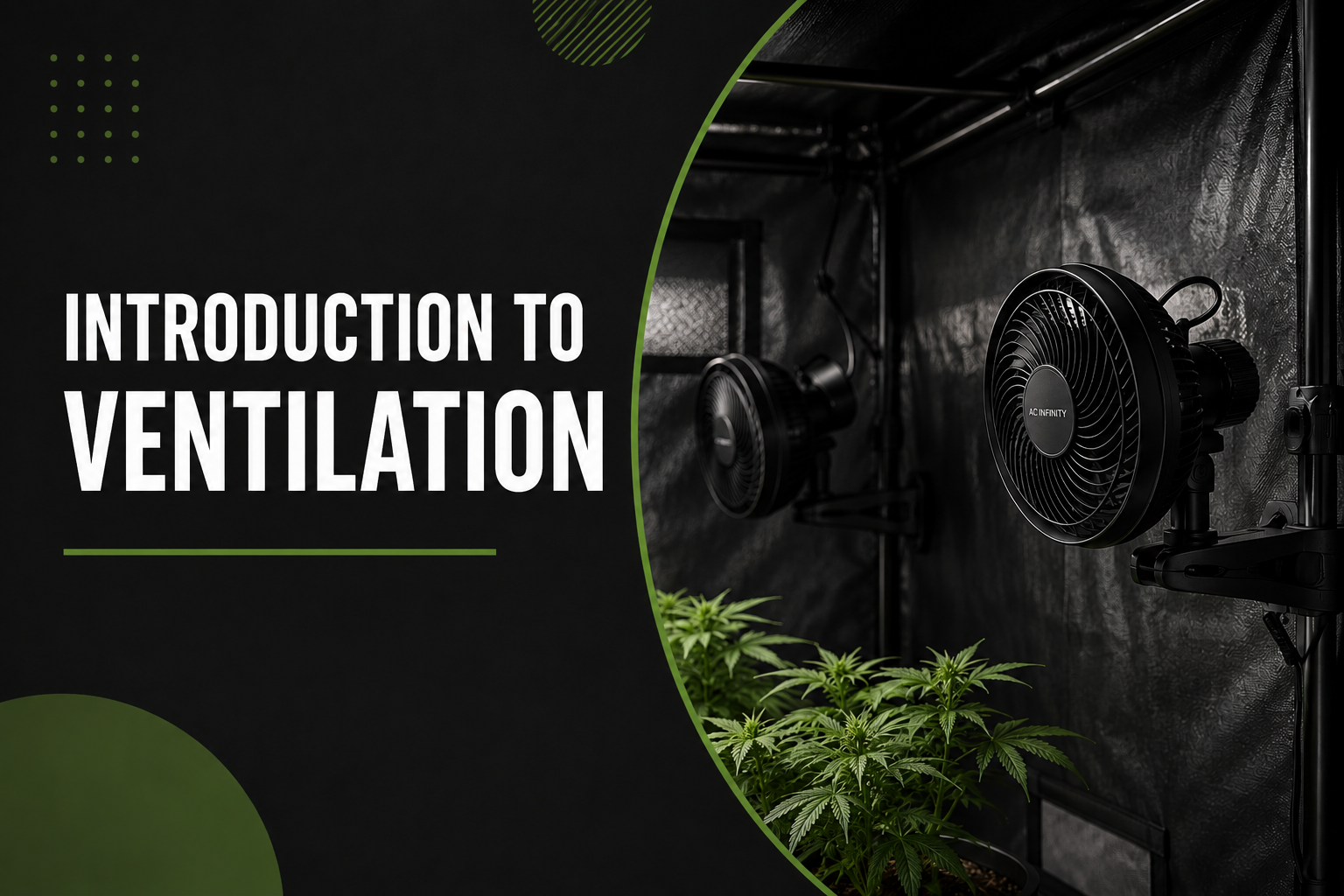 Introduction to Cannabis Ventilation course thumbnail