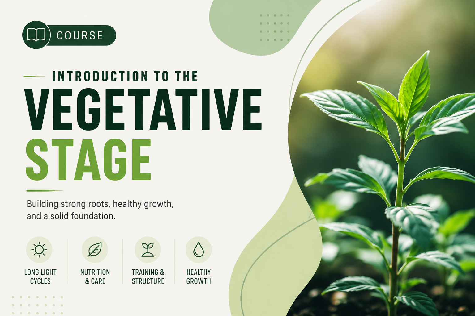 Introduction to the Vegetative Stage of Plant Growth course thumbnail