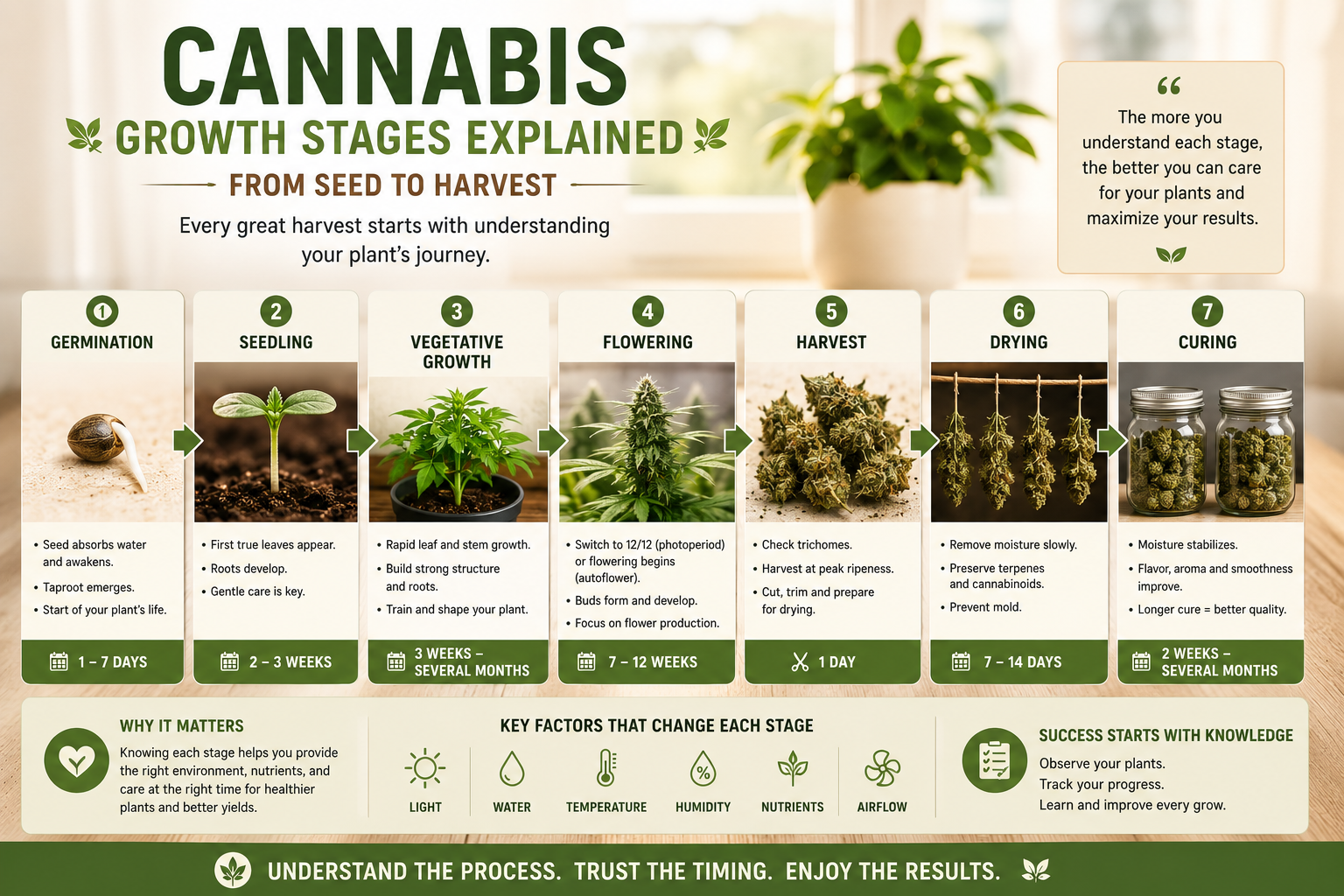 Cannabis Growth Stages Explained: From Seed to Harvest course thumbnail
