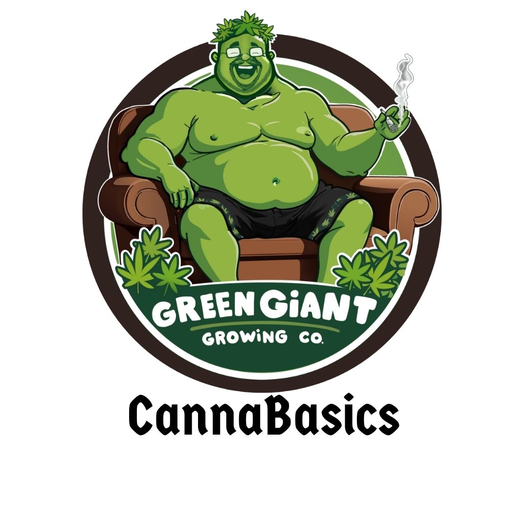 CannaBasics course thumbnail