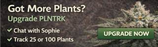 PLNTRK Upgrade for more plants + AI insights and Chat.